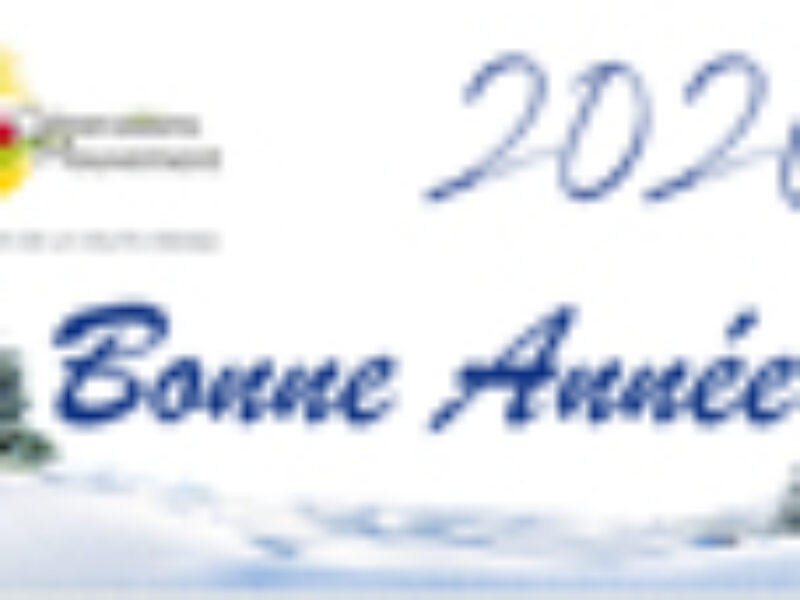 Bonne Année 2026